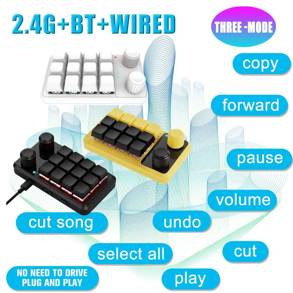 

USB Mini Keypad 12 Keys 2 Knob Custom Programming Macro Mechanical Keyboard Outeum Red Switch Hotswap Macropad For Gaming J5T2