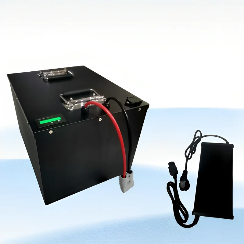 Akumulator litowo-żelazowo-fosforanowy (LiFePO4) 40Ah 60V 45Ah 50Ah 60Ah do mini trójkołowego roweru elektrycznego dla dorosłych o mocy 3000W i pojazdów elektrycznych z osłoną.