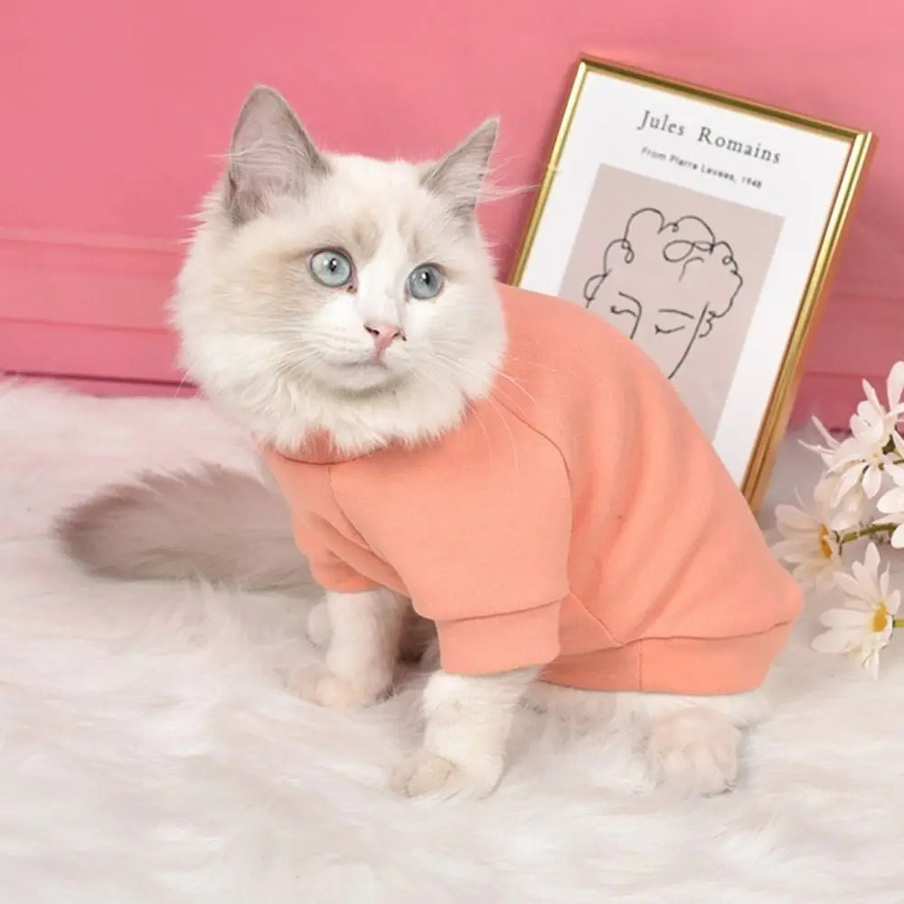 

Solid Color Dog Hoodies Sweatshirt Soft Cotton Dogs Clothes Breathable Simple Style Pet Pullover Sweater Chihuahua