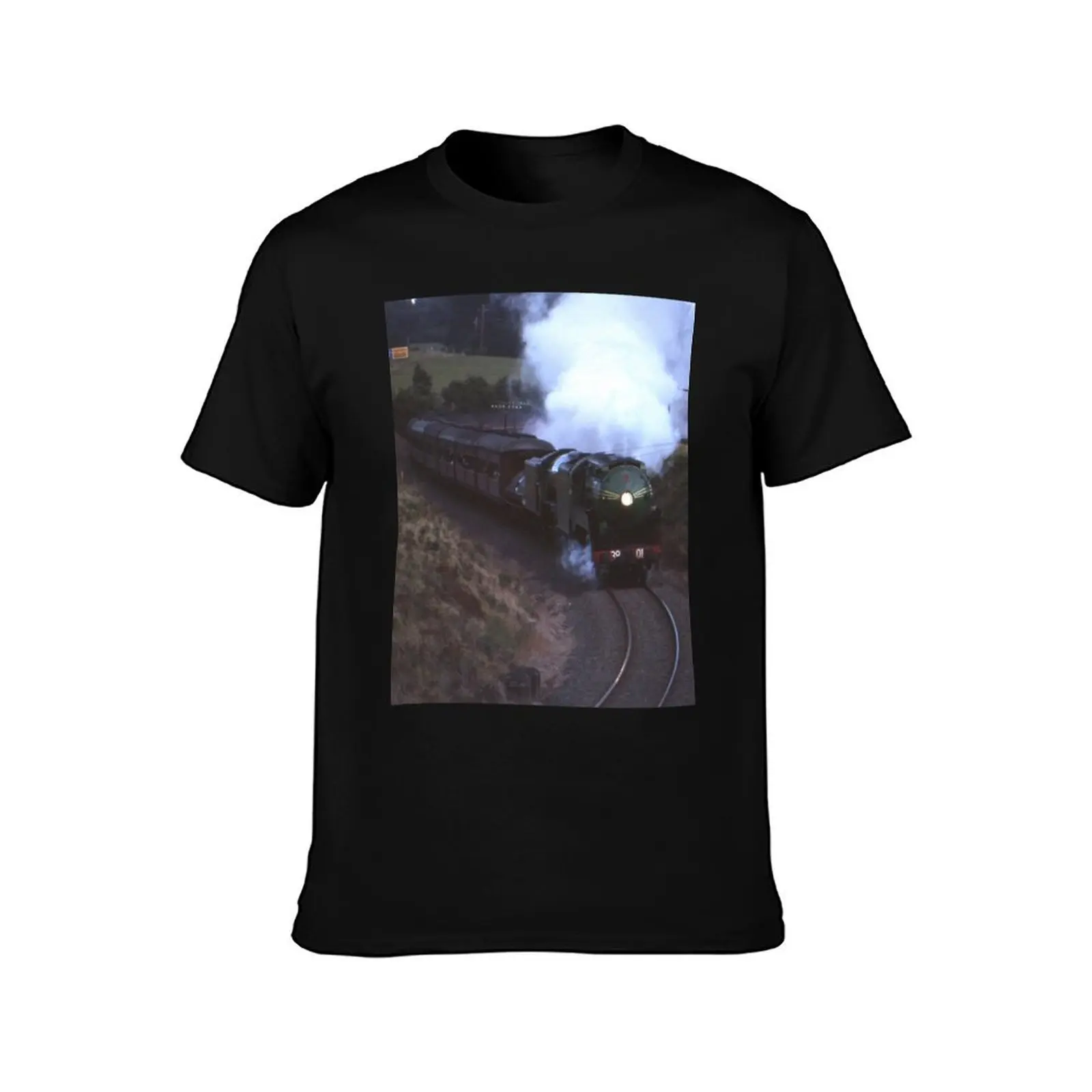 3801 & Flying Scotsman Robertson,NSW,Australia 1989 T-Shirt Holiday All Match T-Shirt