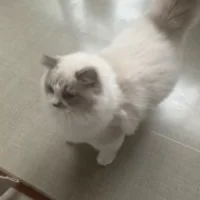 Category image: Food