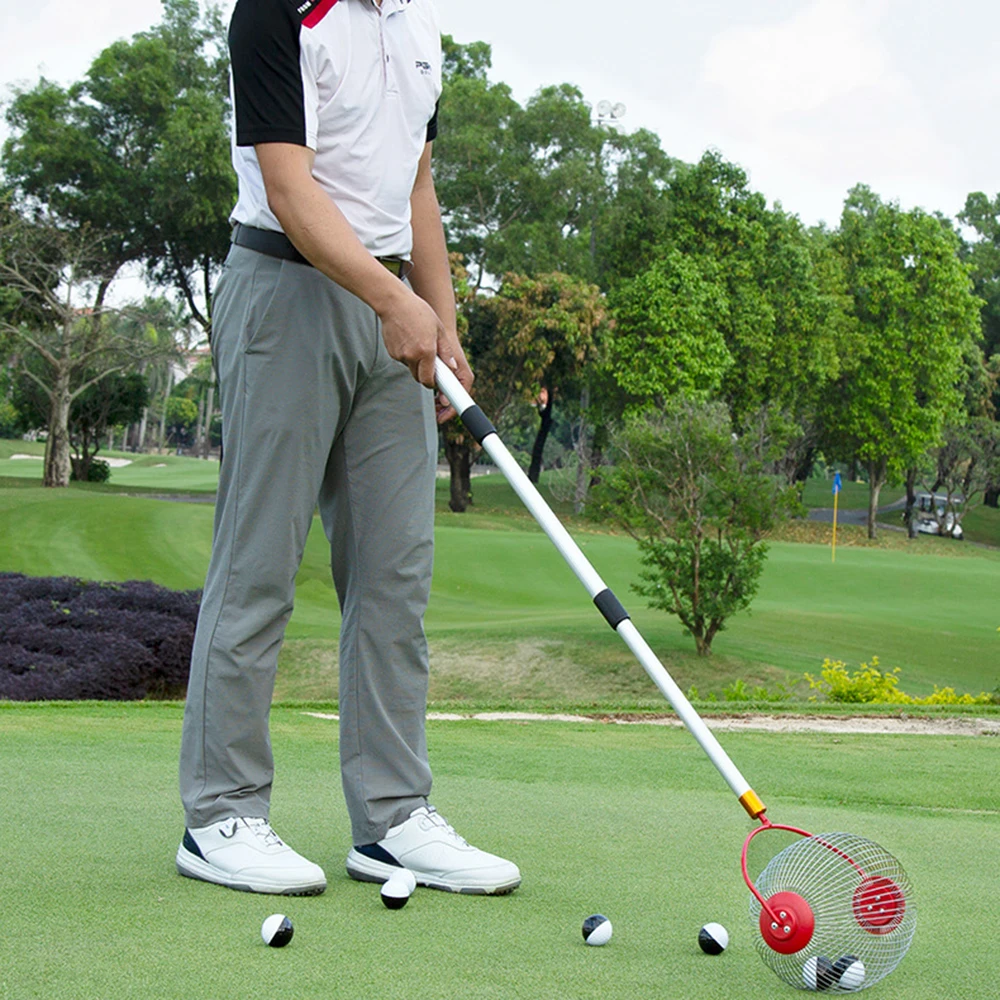 

Walnuts Chestnuts Retractable Roller Nut Collector Rolling Pickup Pecan Golf Ball Fruit Picker Golf Roller Ball Picking Cage