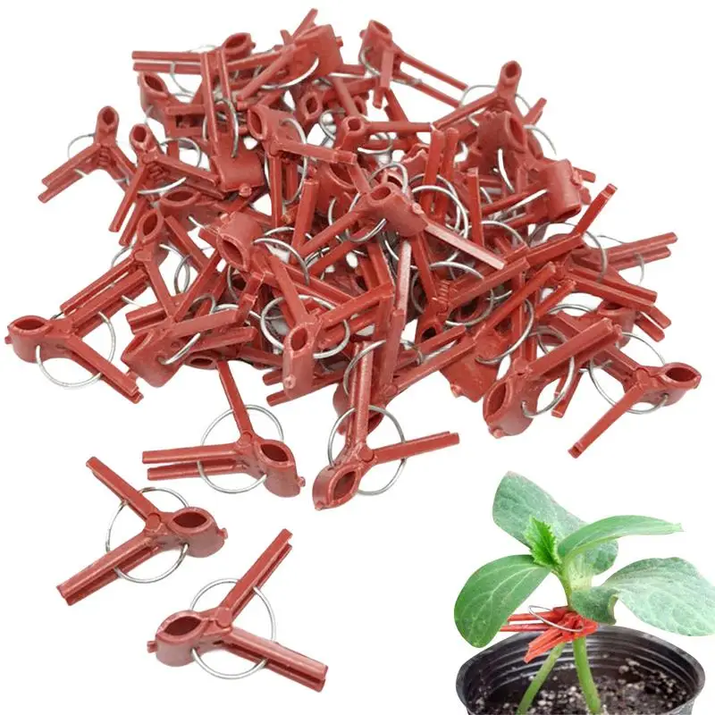 50PCS Plants Graft Clips Flat/round Mouth Plastic Clips Garden Tools For Cucumber Eggplant Watermelon Vegetable Trellis Clips
