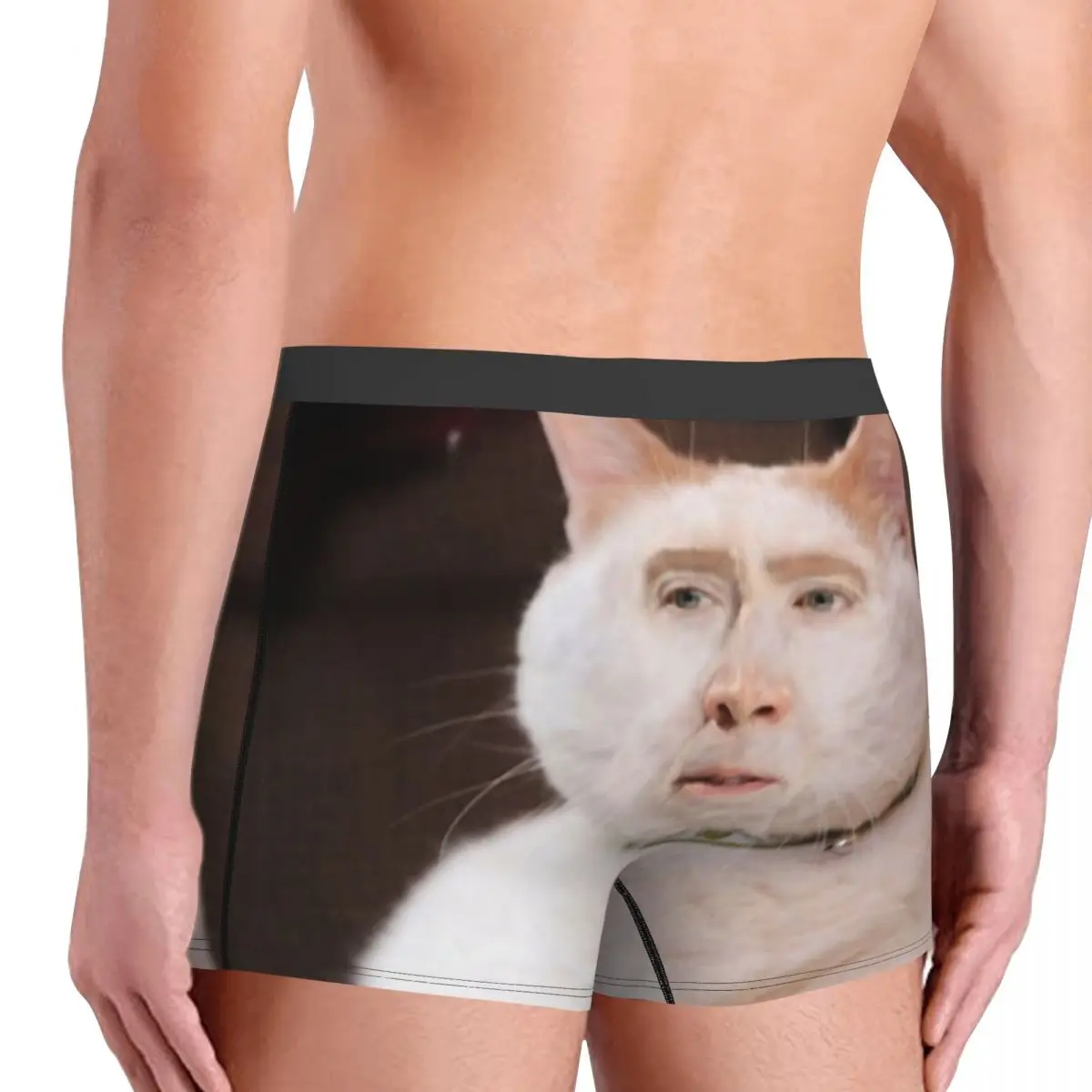 Funny Nicolas Cage Cat Meme Underwear Men Sexy Print Custom Boxer Shorts Panties Briefs Breathbale Underpants