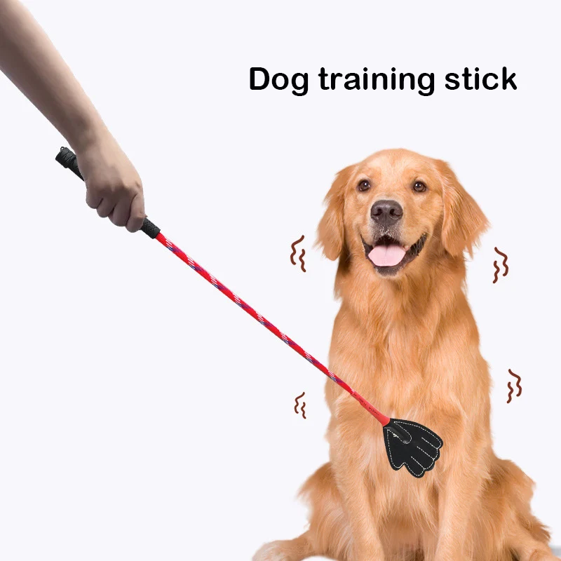 Fouets d'entraînement pour chiens, résistants aux morsures, bâton de gestion du comportement des chiots, jouets interactifs, fournitures