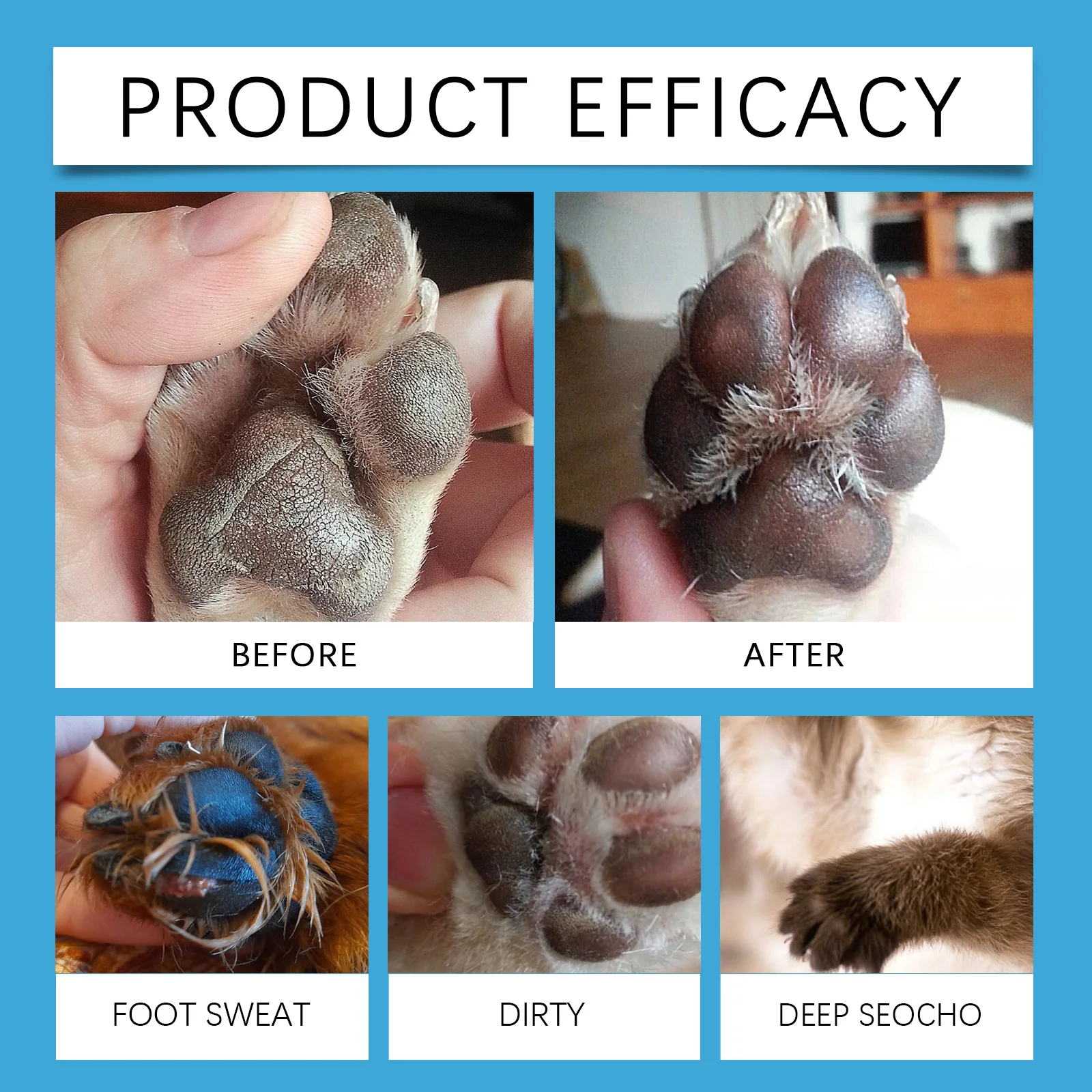 Anhydrous Pet Paw Cleaning Foa - огляд і ціна Anthurium Crystallinum