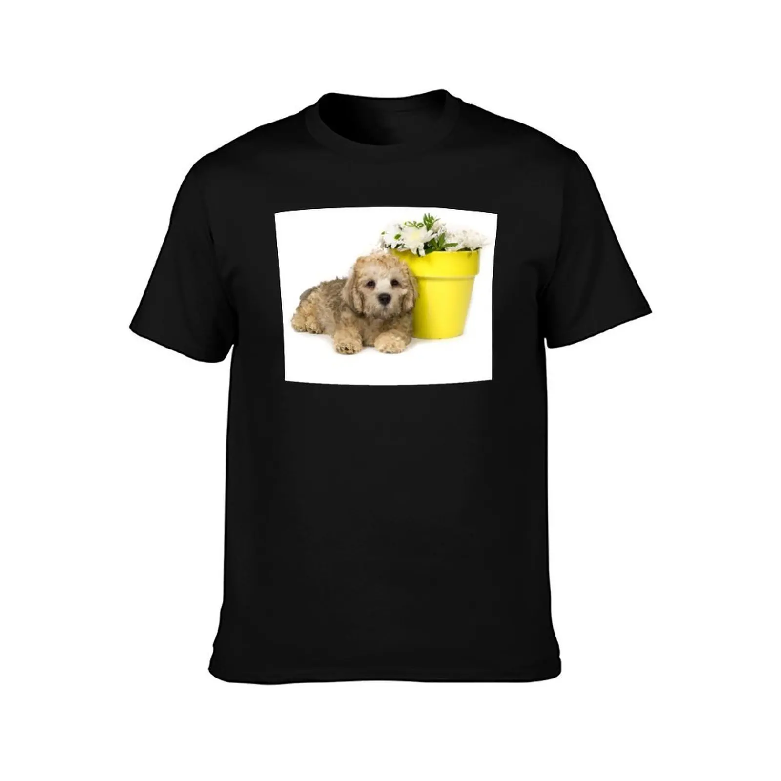 Dandie Dinmont Terrier Puppy T-Shirt Summer Casual Cotton Tee Oversized Streetwear Tops Vintage Graphic Print 100% Cotton