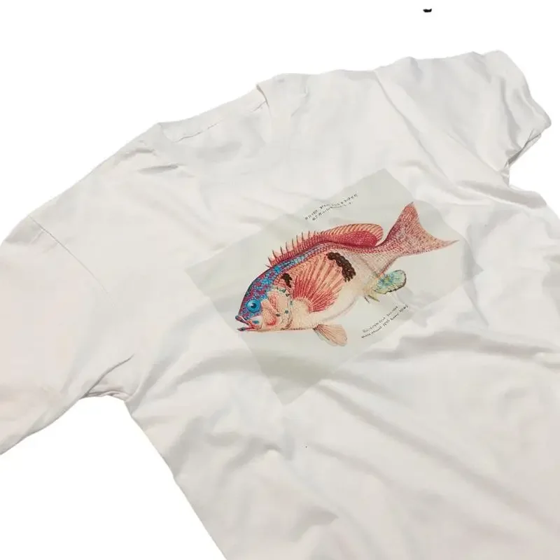 Frank Edward Clarke Fish T Shirt Deep Sea South Pacific Aquatic Art Print Fishing Top
