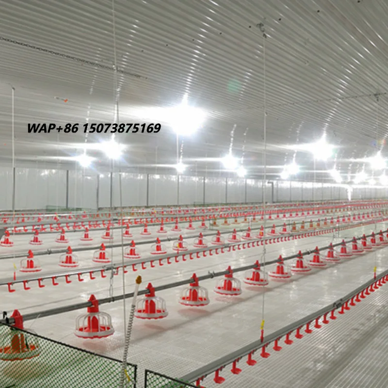 Wholesale New Condition Automatic Floor Type Chicken Coop Animal Feeders Made of Durable PP Plastic for Farms 1-Year Warranty