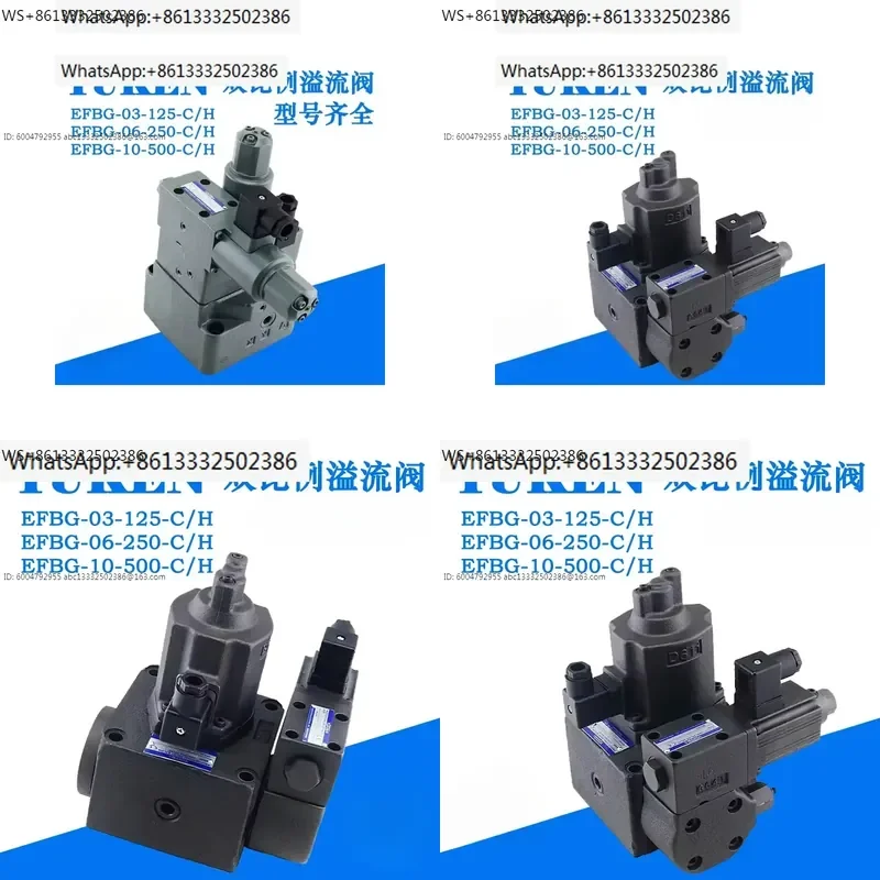 DSHG-06-2B2A-T-PA-A100-53 Proportional Relief Valve for Taiwan Flow Pressure Control