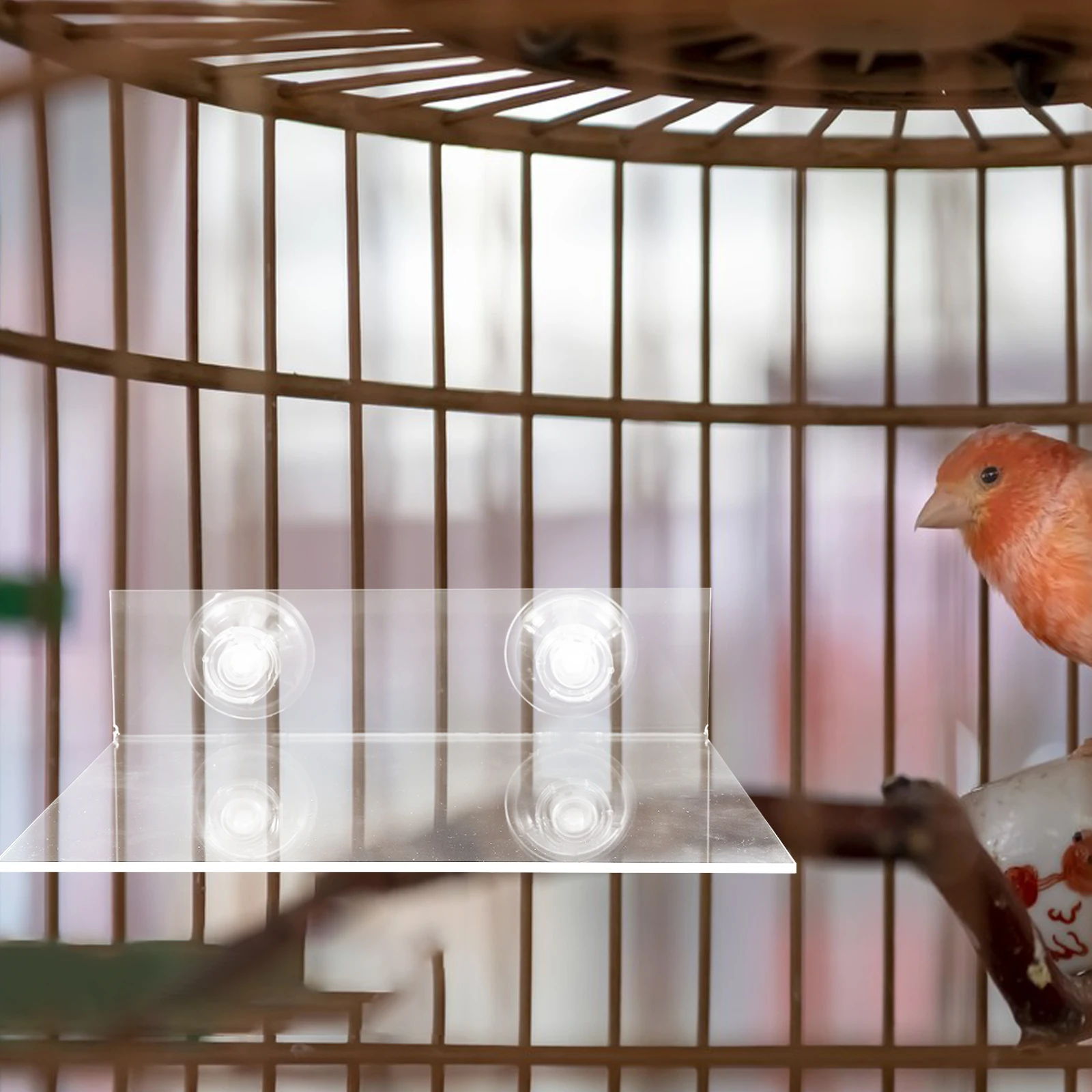 

Parrot Stand Platform Bird Perch Acrylic Standing Toy Playstand Suction Cup Portable Sturdy Small Birds Cage Accessories