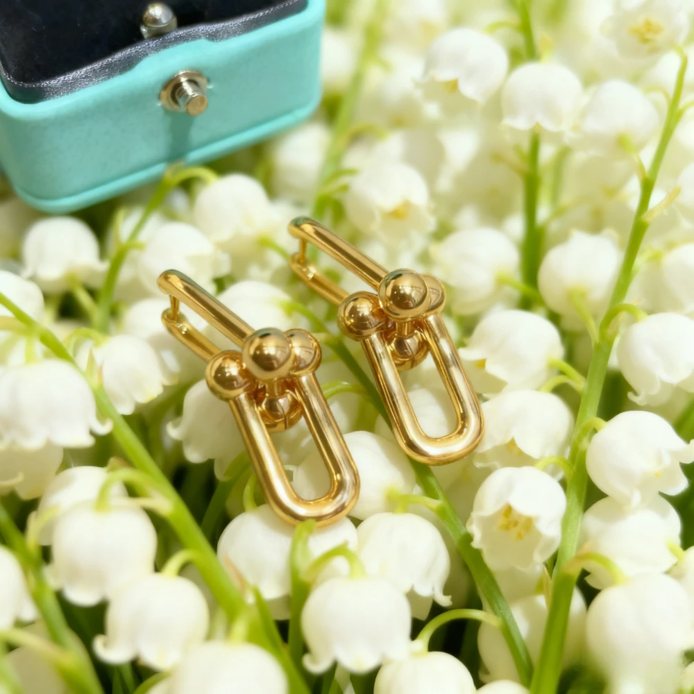 

Новинка 2025 года, элегантные аксессуары во французском стиле, высокая версия, муассанит, двойной U, праздничный подарок, пряжка для копит, женская изысканная вечеринка