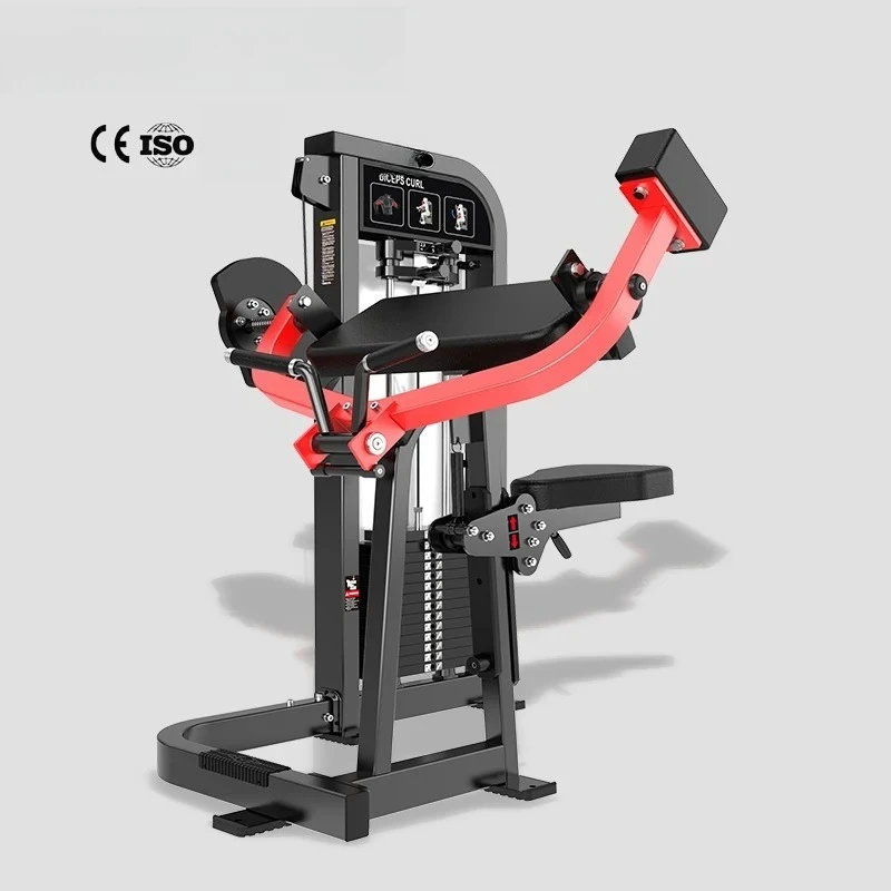 

Commercial Gym Arm Exercise Equipment Strength Training Seated Pin Load Selection Biceps Curl Machine