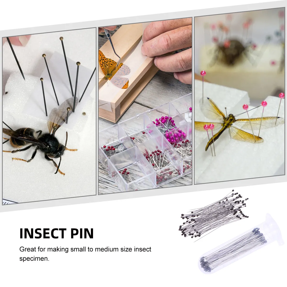 100Pcs Stainless Steel Specimen Pins High Durability Perfect for Insect Collection Science Education Entomology Pin