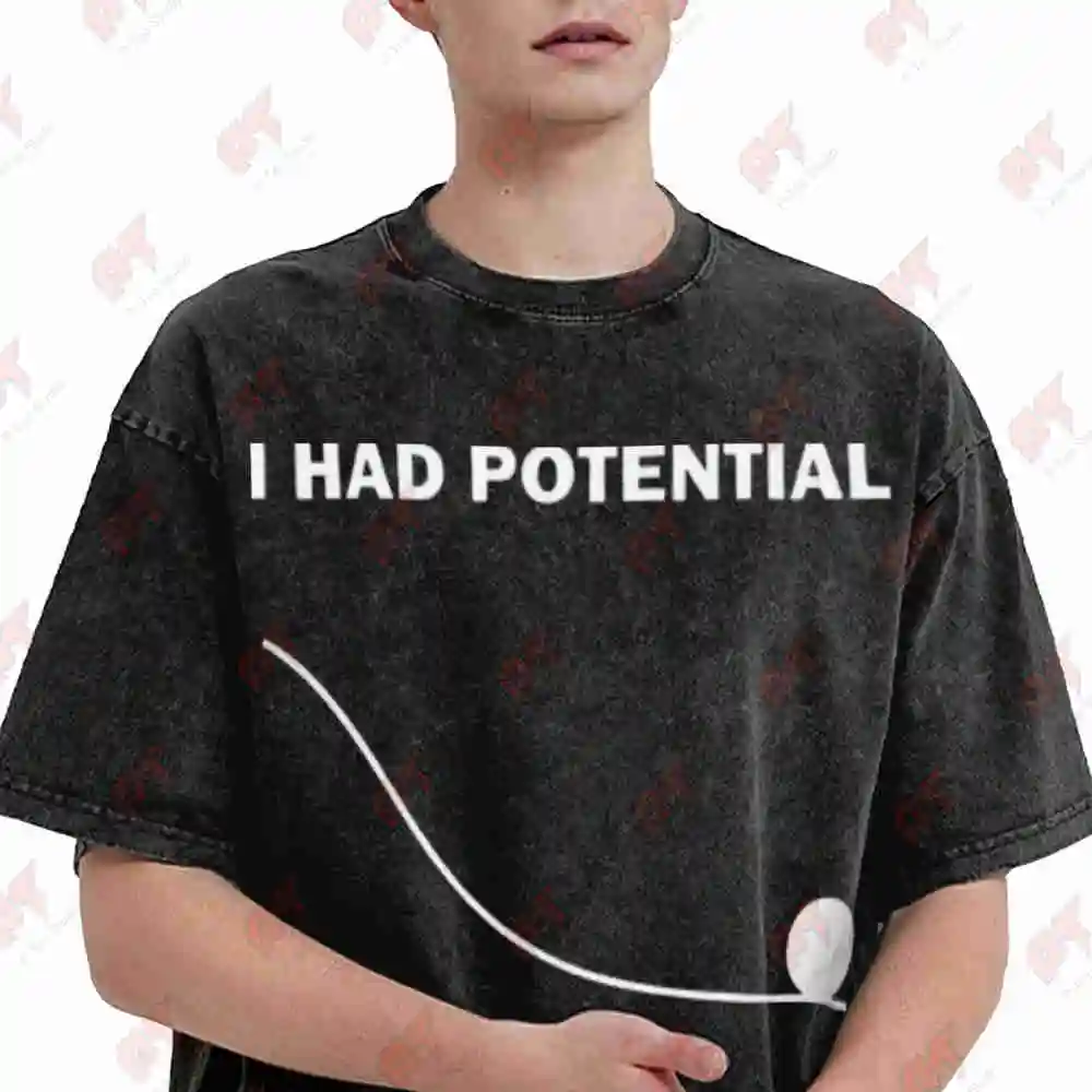 I Had Potential Physics Vintage Washed Tee Pure Cotton T-Shirt