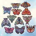 HP-Set-0156