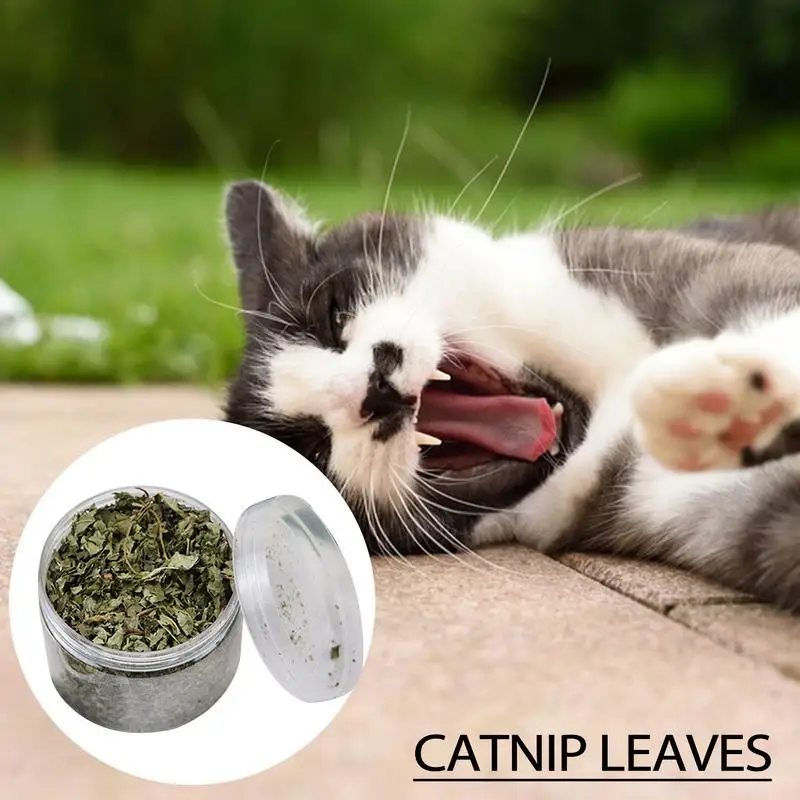 100 Natural Catnip Cat Toys Menthol Flavor Clean Teeth Healthy Care Funny Cat Catmint Toys Organic Premium Catnip Cat Supplier