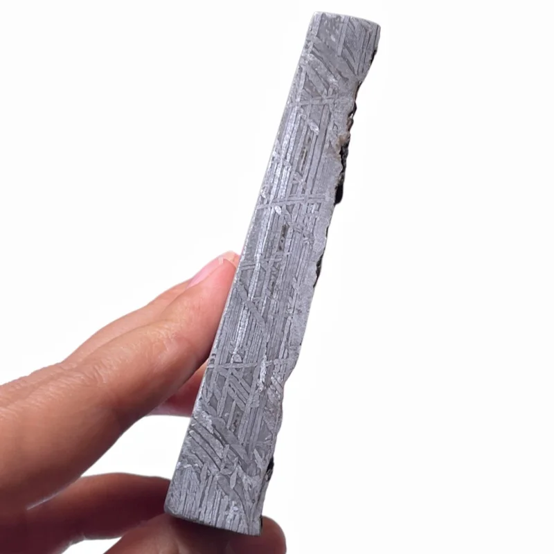 Muonionalusta Iron Meteorite Solid Slab Polished Surface Natural Raw Edge Widmanstatten Pattern Collectible Specimen TA835