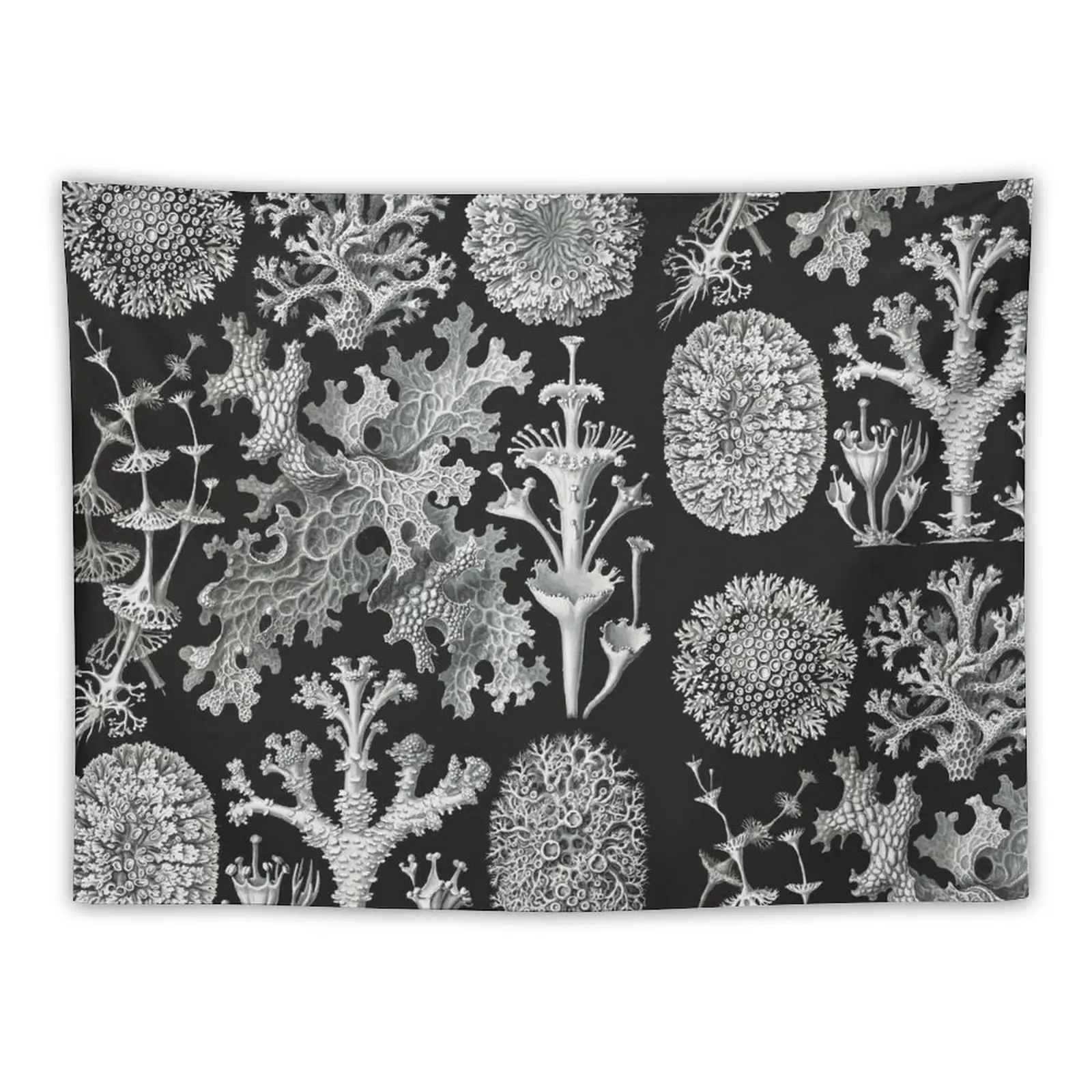 

New Lichenes–Flechten Tapestry Anime Decor Wall Tapestries