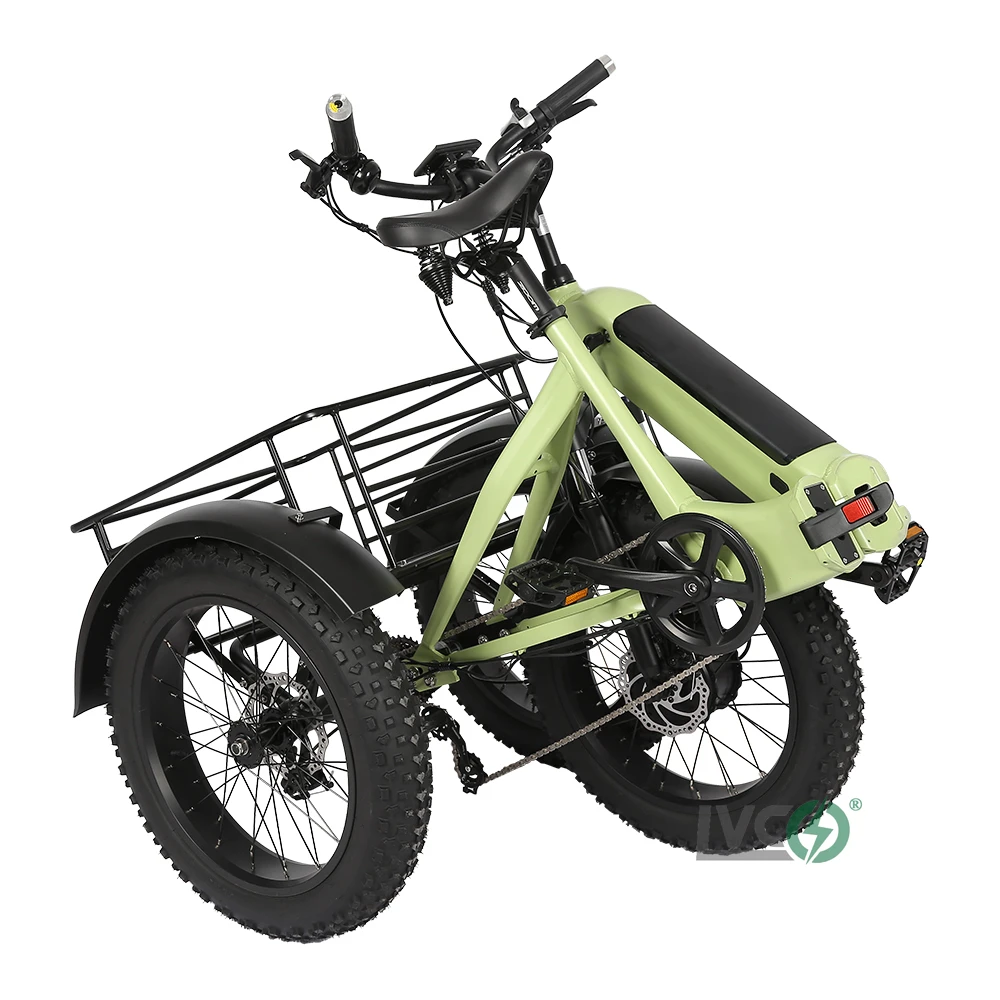 Folding Electric 48v 350w Rear Wheel Hub Motor Fat Tire 20 Inch Tricycles With Lithium Battery Fatbike