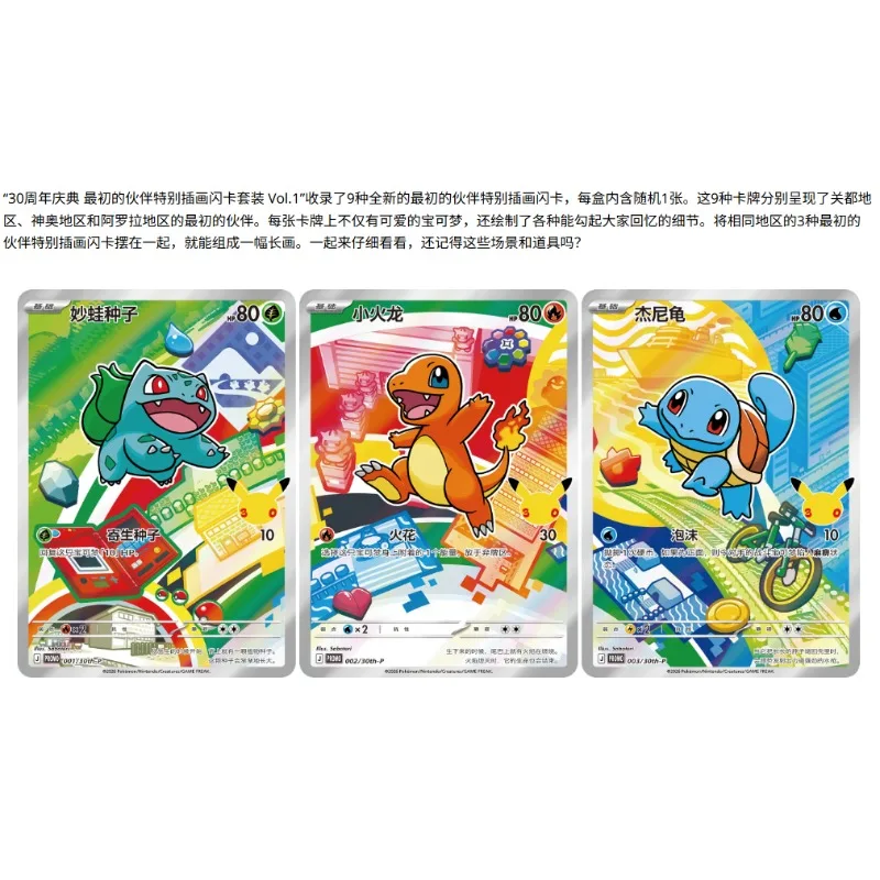 オリジナルポケモントレーディングカード PTCG オリジナルパートナー
