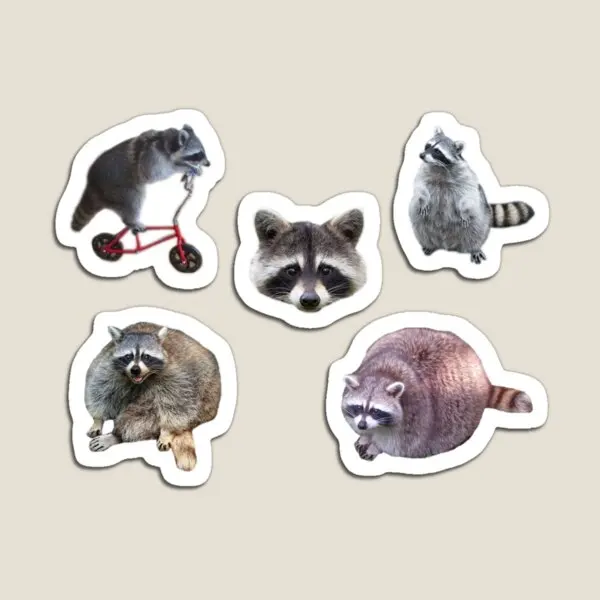 Raccoon Pack  Magnet Kids for Fridge Organizer  Home Decor Stickers Children Toy Refrigerator Baby Holder Funny Magnetic