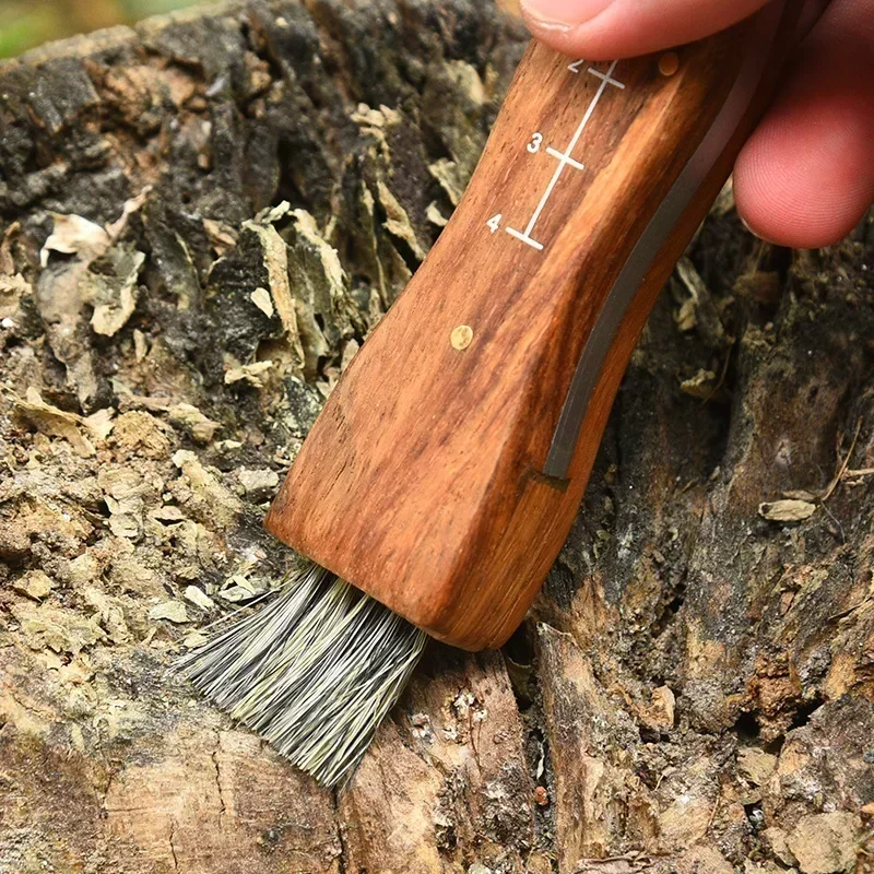 Spazzola pieghevole multifunzionale in acciaio inossidabile mini coltello per funghi da esterno EDC manico in legno sharp camping hunting survival