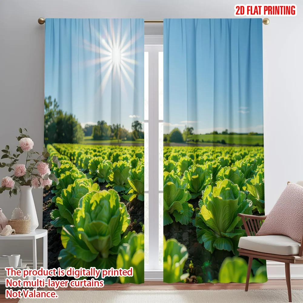 

2D flat printing 2pcs Party Window Curtains Sunny Lettuce Field Digital Printed Polyester Drapes Family Party Decoration for
