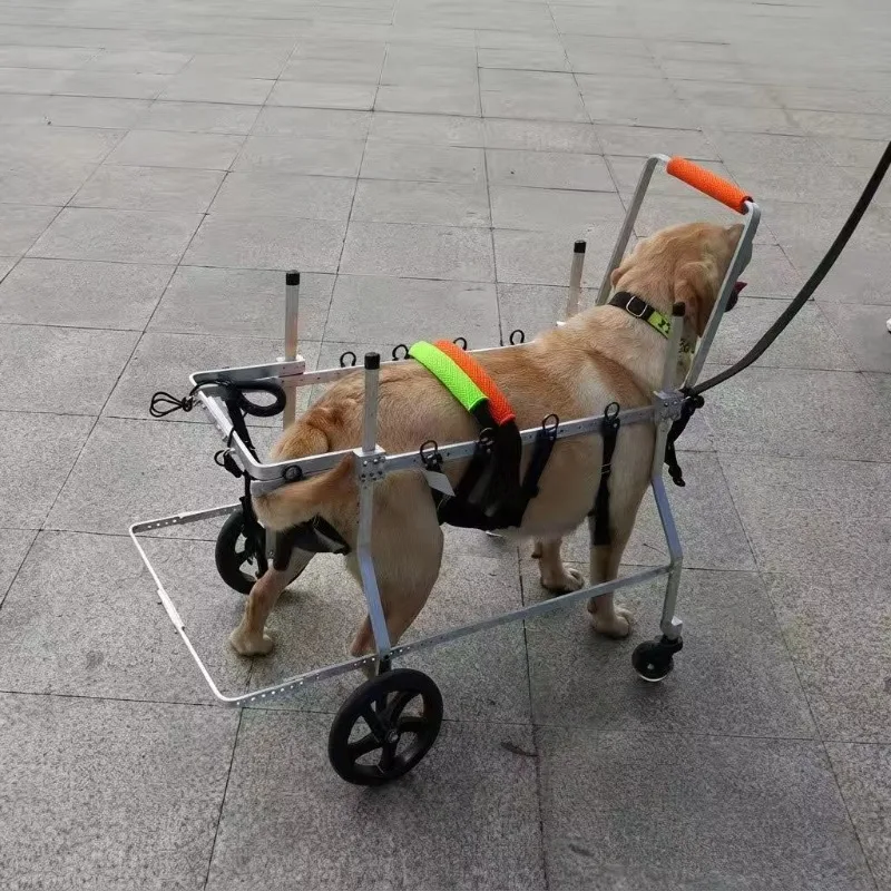 Fully supported four-wheel dog wheelchair belt seat belt elderly paralyzed pet car