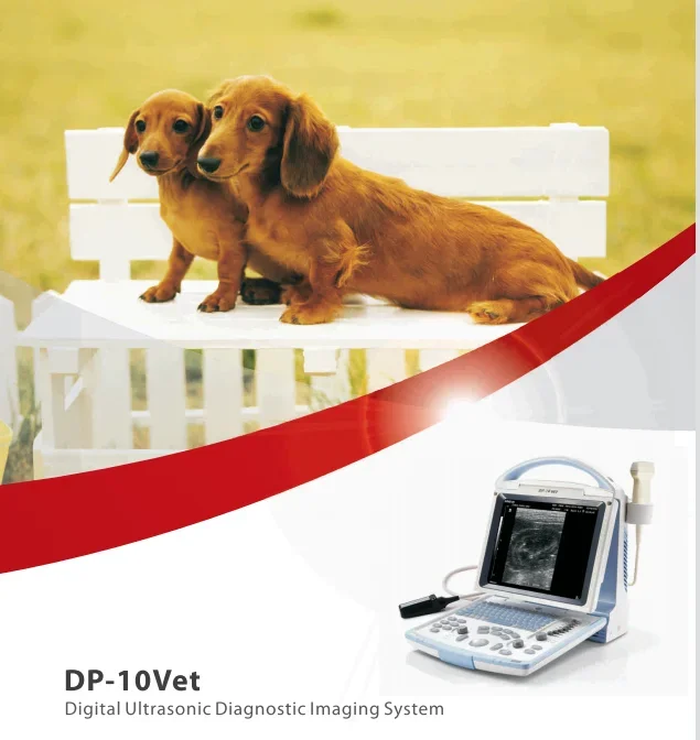 Mindray Dp10 Vet Black White Ultrasound Veterinary Use Ultradound with Battery Dp10 Veterianary Scanner