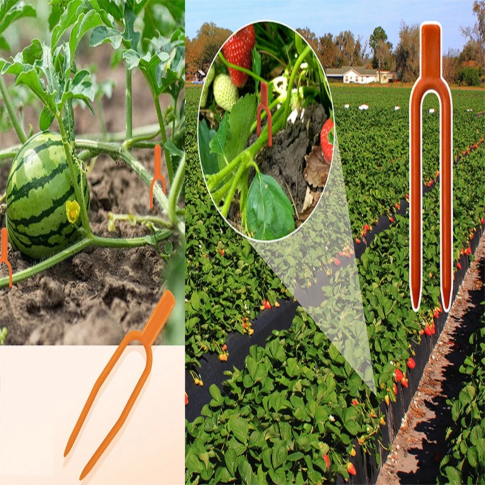 Plant Fixing Pin Water-Resistant Strawberry Runner Clip Watermelon Vine Fork Value Pack for Vegetable Beds, Landscaped Areas