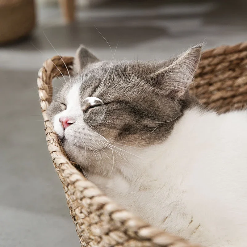 Manual Rattan Woven Cat Nest Four Seasons General Dandelion Woven Cool Nest Cat Bed Cat Scratch Board Pet Products