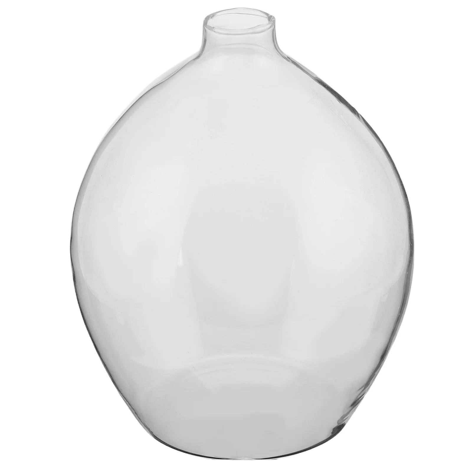 

Home Decor Hydroponic Vase Small Planter Decorative Desktop Transparent Vases Bedroom Flower