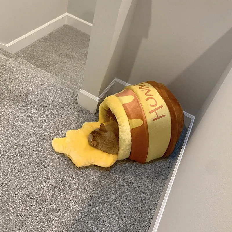 pot-de-miel-nid-de-chat-chaleur-d'hiver-ferme-sens-de-la-securite-tapis-de-chat