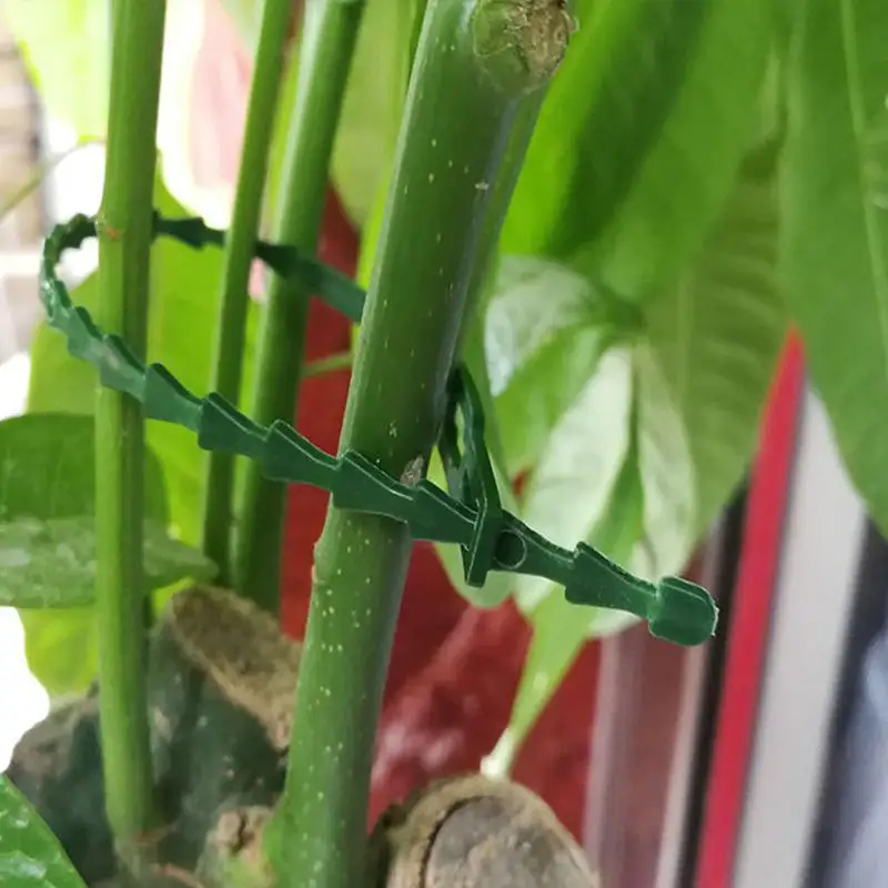 Reusable Garden Cable Ties Plant Vine Tree Shrubs Support Fastener Locking Nylon Adjustable Zipper Cables Ties Organizer Tools