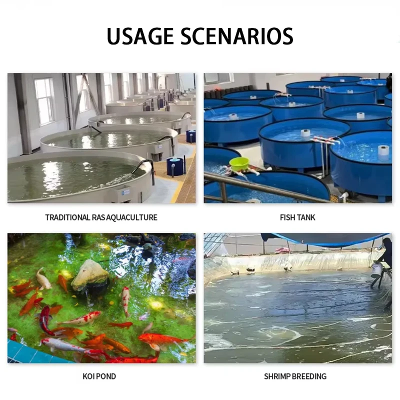 380V Aquaculture Oxygen Generator 50L Fish Farm Nano Oxygen Aerator Output Pressure Can Be Customized
