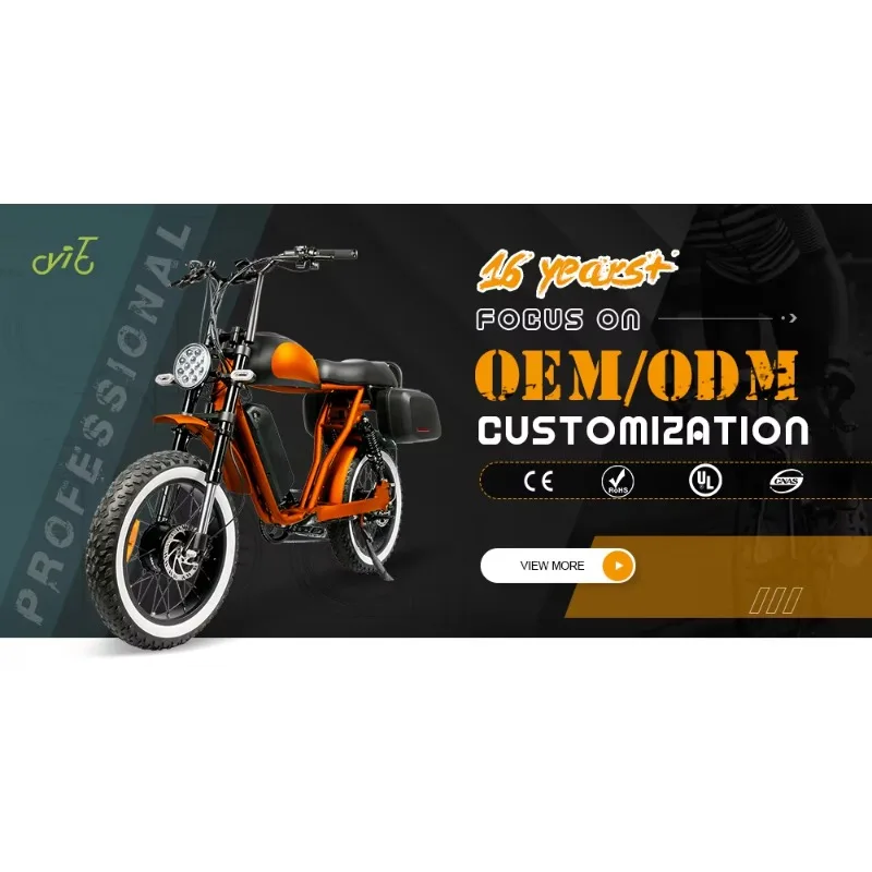 72V 4000W Motor E Bike Motorcycle EEC Certificate High Speed Electric Moped Dual 45Ah Batteries Electric Scooter with 170KM