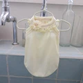 Light Yellow