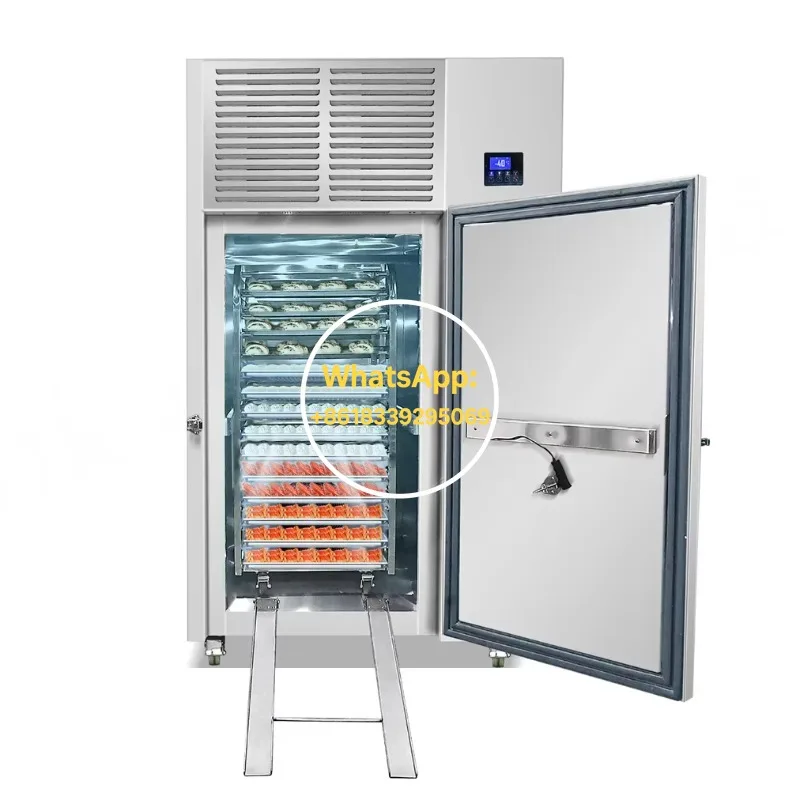 Blast Freezer Cabinet 10 Tray 304 Stainless Steel Air Fan Cooling Auto Defrost for Ice Cream Gelato Seafood Factory Direct