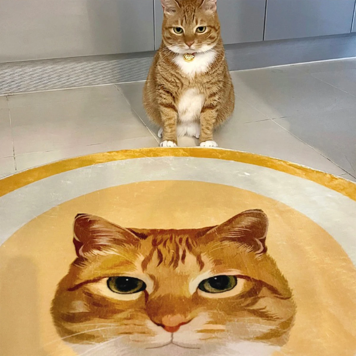 Round Custom Pet Portrait Rugs Creative Design Printed Mat Machine Washable Non-slip Carpet Living Room Bedroom Floor Mats 원형러그