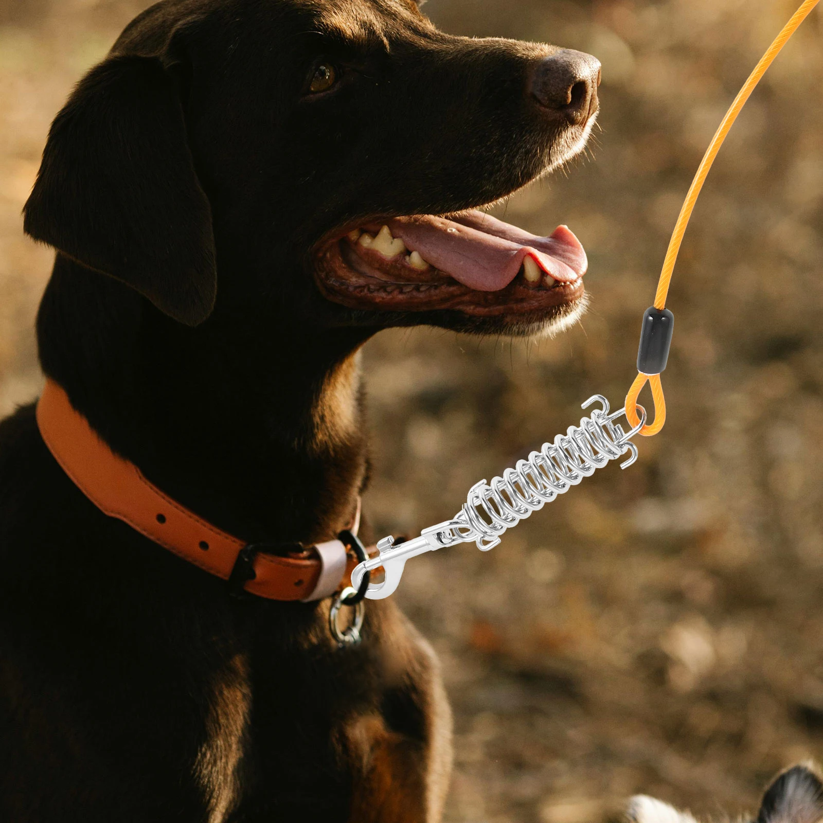 

Pet Steel Wire Leash 5mm x 5m ange Galvanized Hook Spring Dog Walking Traction Rope for Small Medium Dogs Durable Comfortable