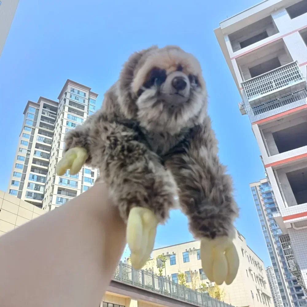 สวนสัตว์ 35 ซม.จําลองเหมือนจริงสาม Toed Sloth Plush ของเล่น Folivora ตุ๊กตาสัตว์ตุ๊กตาวันเกิดคริสต์มาสของขวัญเด็ก