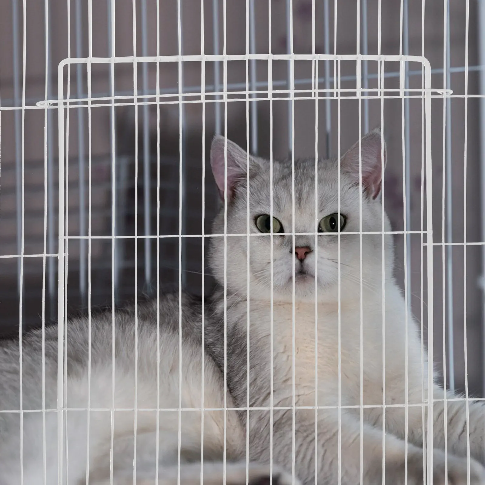 Cat Cage Accessory 35x45cm Dense Mesh Panel with Inward Folding Door Metal Wire Construction for Indoor Outdoor Cat Villa