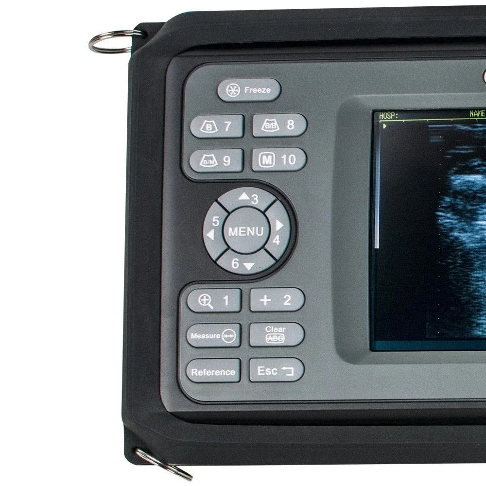 USB Rectal horse cattle cow bovine equine preg nancy test vet ultrasound machine price