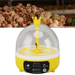 Poultry Hatching Machine Egg Incubator Automatic Temperature Humidity Control Transparent Lid 4 Eggs ABS Compact for Home