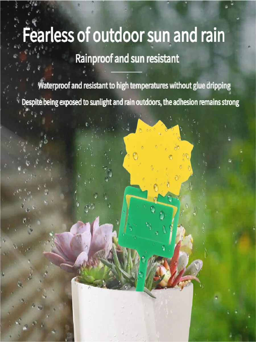 Landisun Obstfliegenfallen, Pilz-Mückenfallen für drinnen und draußen, gelbe Fruchtfliegen, klebrige Pflanzen, fliegende Käfer-Insektenfallen – Detail 1