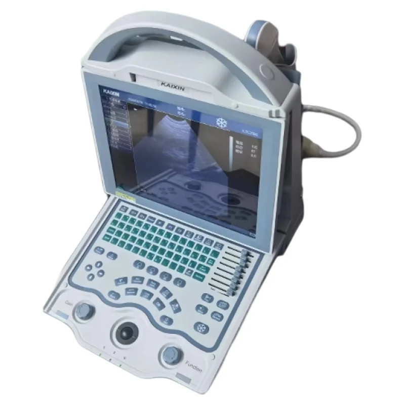 Cattle Laptop Ultrasound Large Animal Sonar Scanner KX5600 Rectal Convex Array Probe