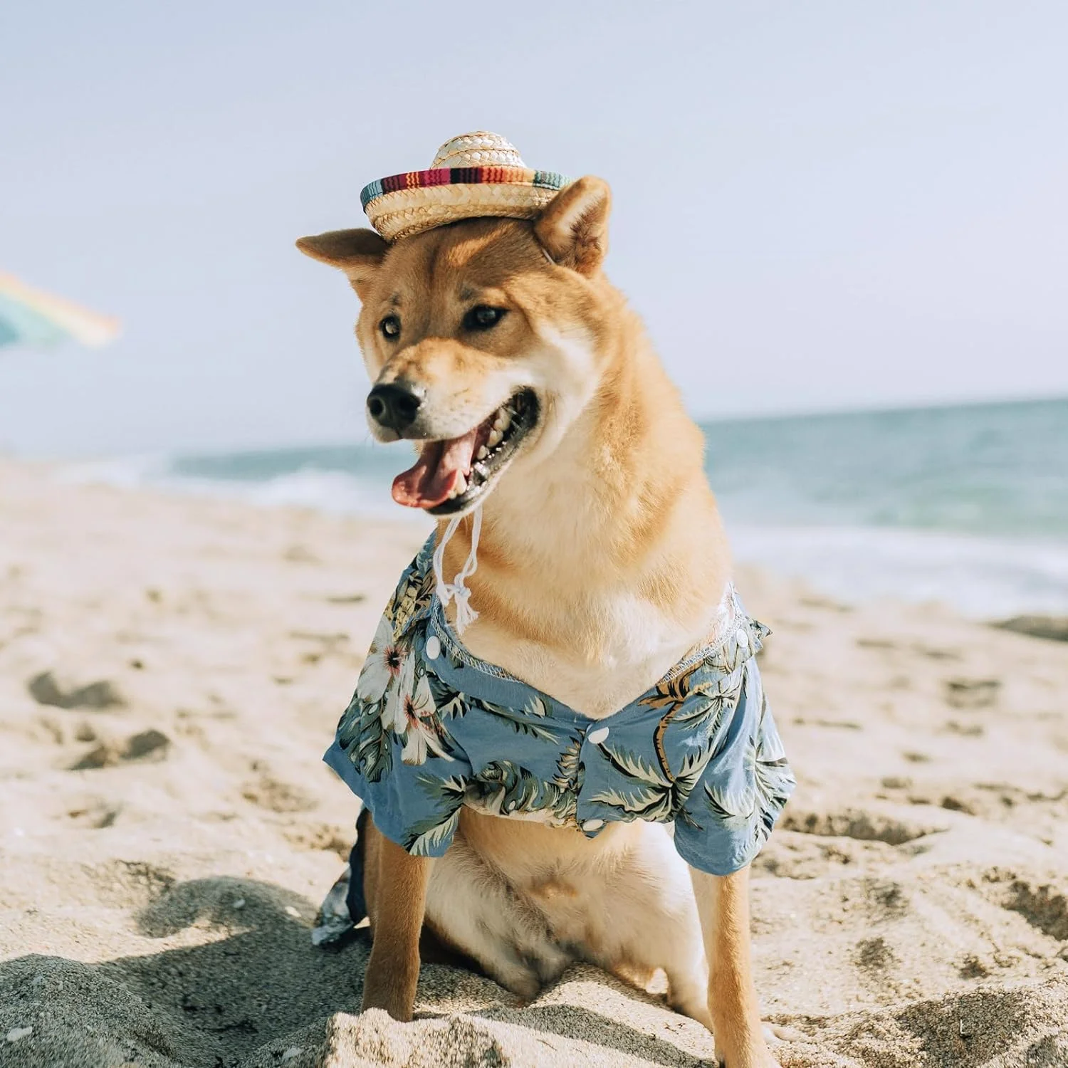 

TONG Dog Sombrero Hat Mini Straw Sombrero Hats Mexican Hats Sombrero Party Hats for Small Pets Cat