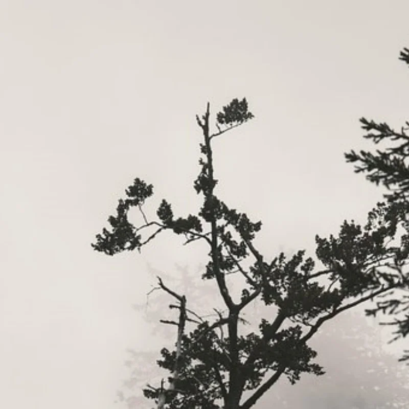 

4 шт. 1,9-дюймовые колеса с бусинами, алюминиевые диски, модернизация для осевого SCX10 TRX4 90046 RC Crawler, автомобильные аксессуары