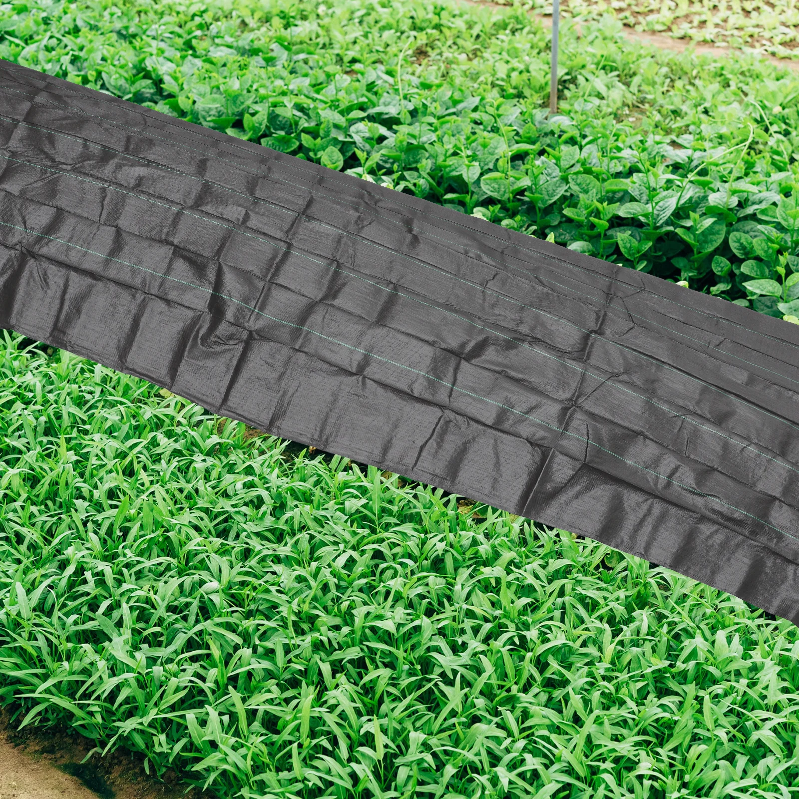 نسيج التحكم في حاجز الأعشاب في الحديقة، غطاء أرضي بلاستيكي متين، قماش المناظر الطبيعية، قماش إزالة الأعشاب الضارة في الهواء الطلق لمسار مزرعة البستان